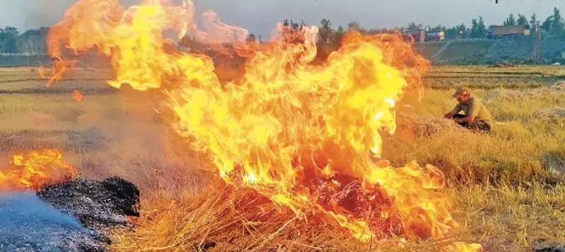 सरसों की पराली से कश्मीर हाईवे बना धुएं का गलियारा सरसों की पराली से कश्मीर हाईवे बना धुएं का गलियारा