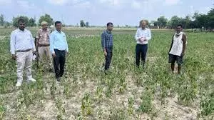 SKUAST-K ने कुपवाड़ा में आदिवासी किसानों के लिए आउटरीच कार्यक्रम आयोजित किया SKUAST-K ने कुपवाड़ा में आदिवासी किसानों के लिए आउटरीच कार्यक्रम आयोजित किया