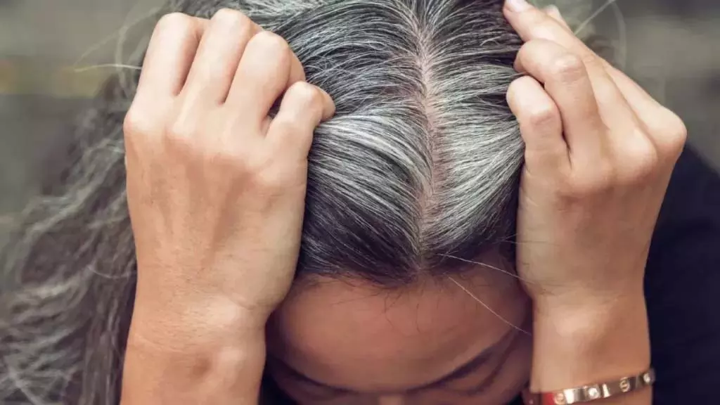 White Hair Remedy: कम उम्र में सफेद बालों की समस्या से हैं परेशान तो जरूर आजमाएं ये उपाय White Hair Remedy: कम उम्र में सफेद बालों की समस्या से हैं परेशान तो जरूर आजमाएं ये उपाय