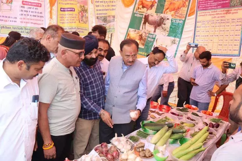 प्राकृतिक खेती और सरकारी योजनाओं को बढ़ावा देने के लिए शिलाई में किसान मेला आयोजित: Chauhan प्राकृतिक खेती और सरकारी योजनाओं को बढ़ावा देने के लिए शिलाई में किसान मेला आयोजित: Chauhan