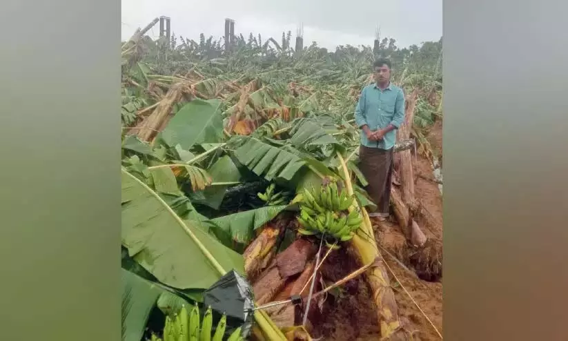 Kerala : तेज़ हवाओं में 1800 पेड़ उखड़ गए Kerala : तेज़ हवाओं में 1800 पेड़ उखड़ गए