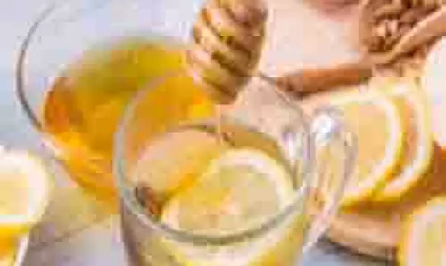 Health: सुबह-सुबह गुनगुने पानी में मिलाएं नींबू का रस, रोजाना पीने से मिलेंगे ये कमाल के फायदे Health: सुबह-सुबह गुनगुने पानी में मिलाएं नींबू का रस, रोजाना पीने से मिलेंगे ये कमाल के फायदे
