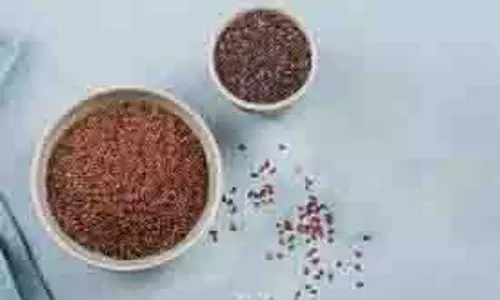 Health: गैस और एसिडिटी के कारण बिगड़ रही है पेट की सेहत, तो खाएं पोषक तत्वों से भरपूर ये बीज