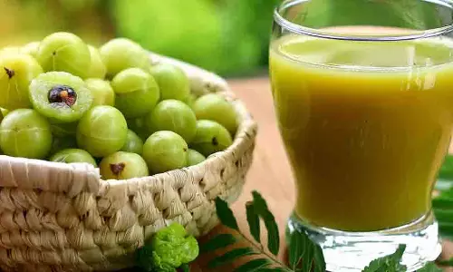 Amla Juice: इसके सेवन के एक नहीं बल्कि कई फायदे हैं, बीमारियों से बचाने में करता है मदद Amla Juice: इसके सेवन के एक नहीं बल्कि कई फायदे हैं, बीमारियों से बचाने में करता है मदद