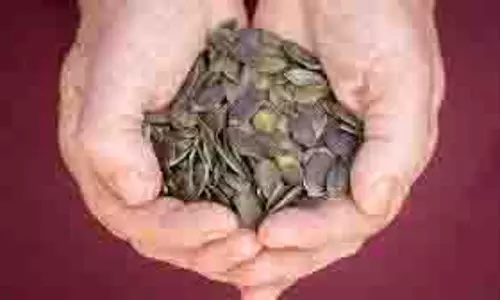 Pumpkin seeds:कद्दू के बीज शरीर के किस अंग के लिए हैं फायदेमंद