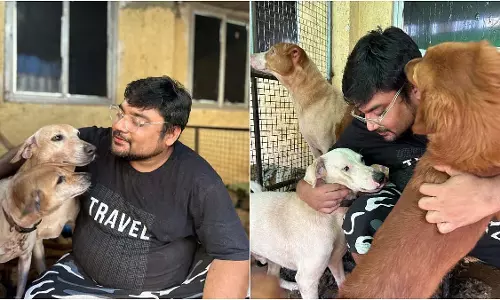 Thane : हवाईयन सोसायटी ने कुत्तों को घुमाने के लिए निवासी पर ₹5.5 लाख का जुर्माना लगाया Thane : हवाईयन सोसायटी ने कुत्तों को घुमाने के लिए निवासी पर ₹5.5 लाख का जुर्माना लगाया