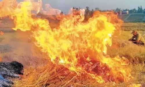 सरसों की पराली से कश्मीर हाईवे बना धुएं का गलियारा सरसों की पराली से कश्मीर हाईवे बना धुएं का गलियारा