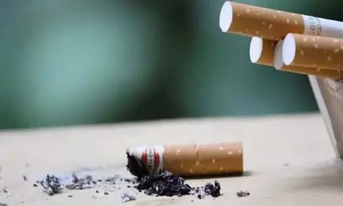 विश्व तंबाकू निषेध दिवस 2025: बिना लाइसेंस के तंबाकू बेचने वालों पर होगी सख्त कार्रवाई