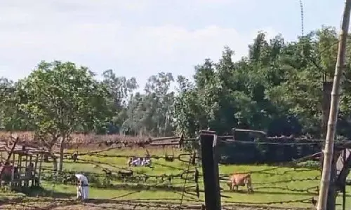 BSF ने कूचबिहार में भारत-बांग्लादेश सीमा पर घुसपैठ की तीन कोशिशें नाकाम की