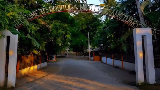 Assam : पोबितोरा वन्यजीव अभयारण्य में पर्यटकों की संख्या में वृद्धि और राजस्व में वृद्धि