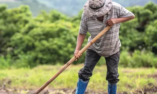 कैबिनेट ने किसानों के लिए ब्याज सहायता योजना जारी रखने को मंजूरी दी कैबिनेट ने किसानों के लिए ब्याज सहायता योजना जारी रखने को मंजूरी दी