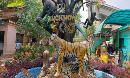 Lucknow: वन्यजीव प्रेमियों के लिए खुशखबरी, आज से खुलेगा चिड़ियाघर Lucknow: वन्यजीव प्रेमियों के लिए खुशखबरी, आज से खुलेगा चिड़ियाघर