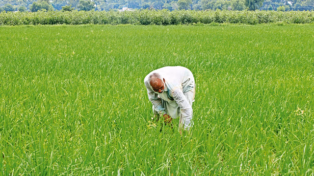 Assam : सोनितपुर में विकसित कृषि संकल्प अभियान शुरू