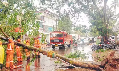 हवा और बारिश: KSEB को कंजिरापल्ली में 30 लाख रुपये का नुकसान हवा और बारिश: KSEB को कंजिरापल्ली में 30 लाख रुपये का नुकसान