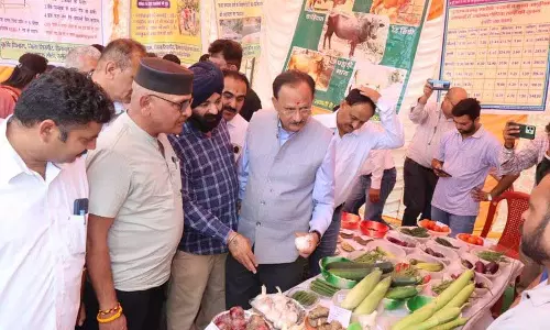 प्राकृतिक खेती और सरकारी योजनाओं को बढ़ावा देने के लिए शिलाई में किसान मेला आयोजित: Chauhan प्राकृतिक खेती और सरकारी योजनाओं को बढ़ावा देने के लिए शिलाई में किसान मेला आयोजित: Chauhan