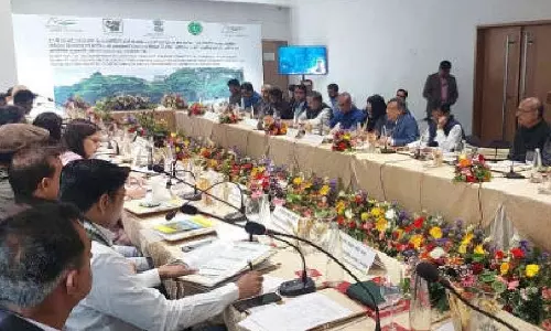 चाय के क्षेत्र में तूफ़ान, Siliguri में सांसदों की पैनल बैठक में चाय हितधारकों ने जताई चिंता