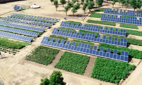 Jodhpur डिस्कॉम में 841 मेगावाट सौर परियोजना से 75,000 किसान लाभान्वित Jodhpur डिस्कॉम में 841 मेगावाट सौर परियोजना से 75,000 किसान लाभान्वित