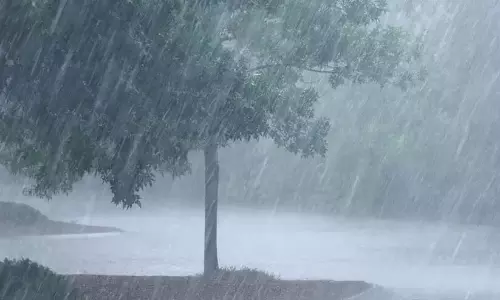 बरसात का मौसम: राष्ट्रीय राजमार्गों पर यात्रा संदिग्ध, कई पेड़ों के सड़क पर गिरने का खतरा