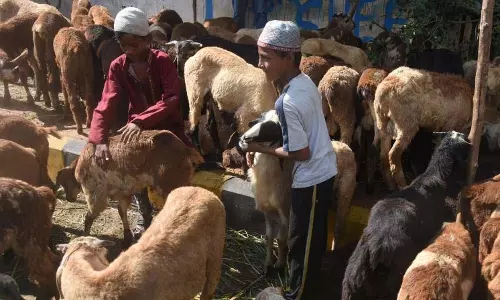 Telangana: बकरीद से पहले चिड़ियाघर ने सुरक्षा बढ़ा दी