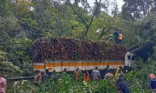 Kerala : कुमिली में खड़ी लॉरी और बस के बीच पेड़ गिरा