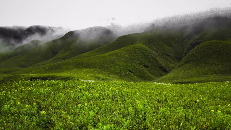 दक्षिण कोरियाई प्रतिनिधिमंडल के लिए Nagaland शीर्ष निवेश विकल्प के रूप में उभरा