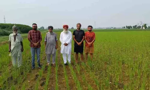 समराला ADO ने किसानों से धान की सीधी बिजाई अपनाने का आग्रह किया
