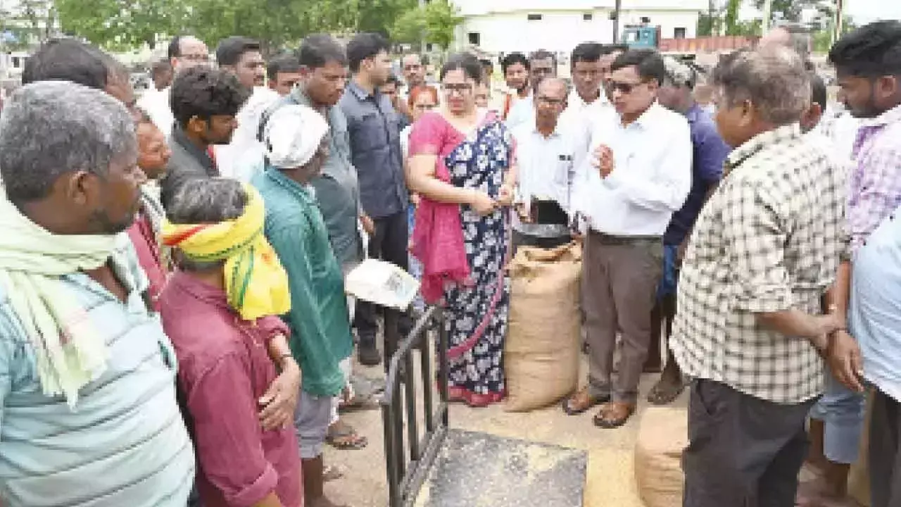 Telangana: कलेक्टर ने धान की शीघ्र खरीद का निर्देश दिया