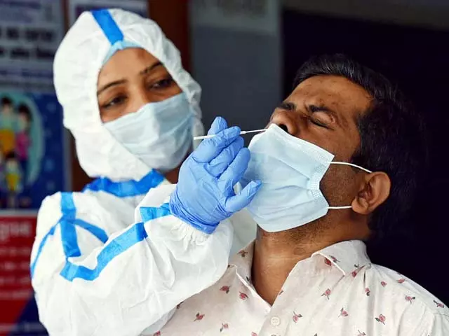 तमिलनाडु में हर दिन औसतन 15 लोग कोरोना से संक्रमित हो रहे हैं: लोक स्वास्थ्य विभाग तमिलनाडु में हर दिन औसतन 15 लोग कोरोना से संक्रमित हो रहे हैं: लोक स्वास्थ्य विभाग