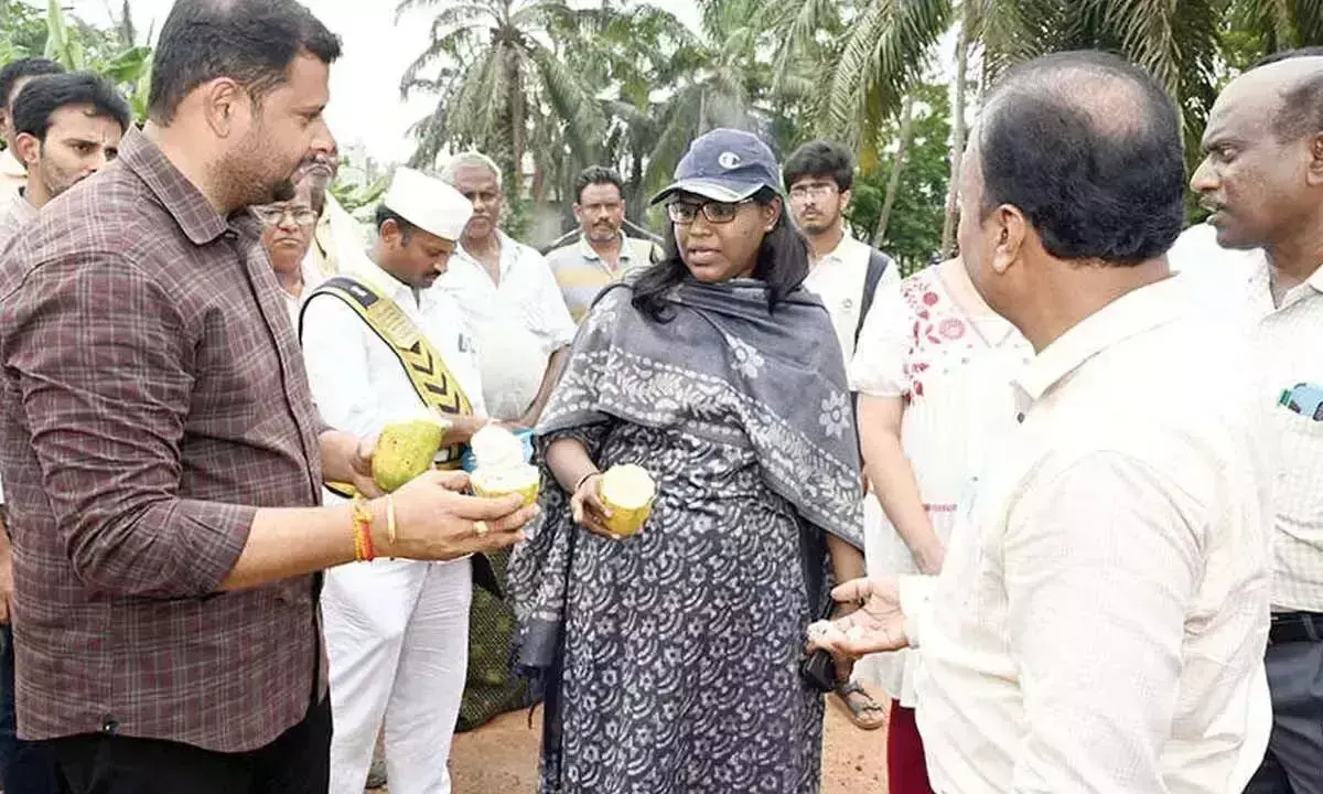 Andhra: प्राकृतिक खेती के अंतर्गत क्षेत्र बढ़ाने का आह्वान Andhra: प्राकृतिक खेती के अंतर्गत क्षेत्र बढ़ाने का आह्वान