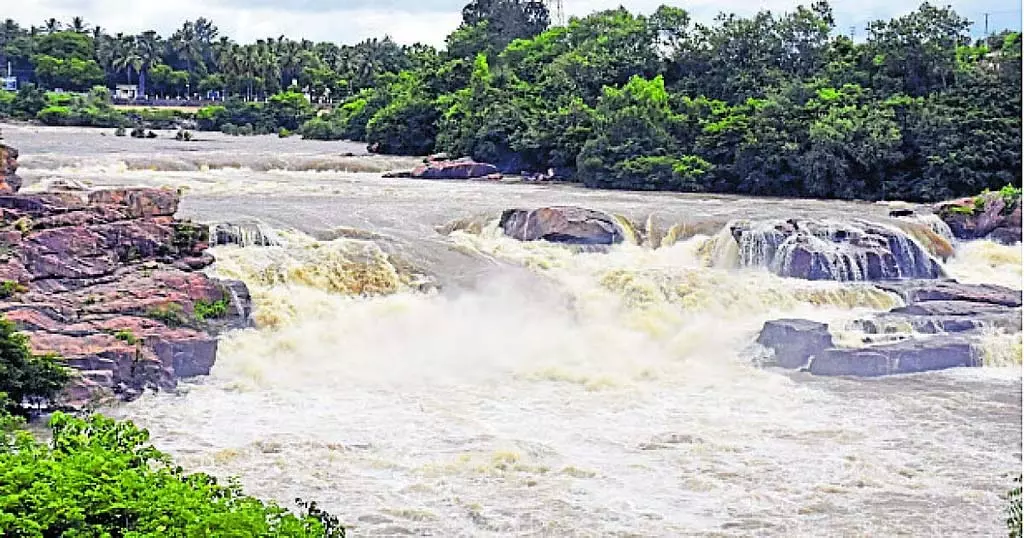 कर्नाटक बारिश: नदियों और नालों के लिए जानलेवा खतरा कर्नाटक बारिश: नदियों और नालों के लिए जानलेवा खतरा
