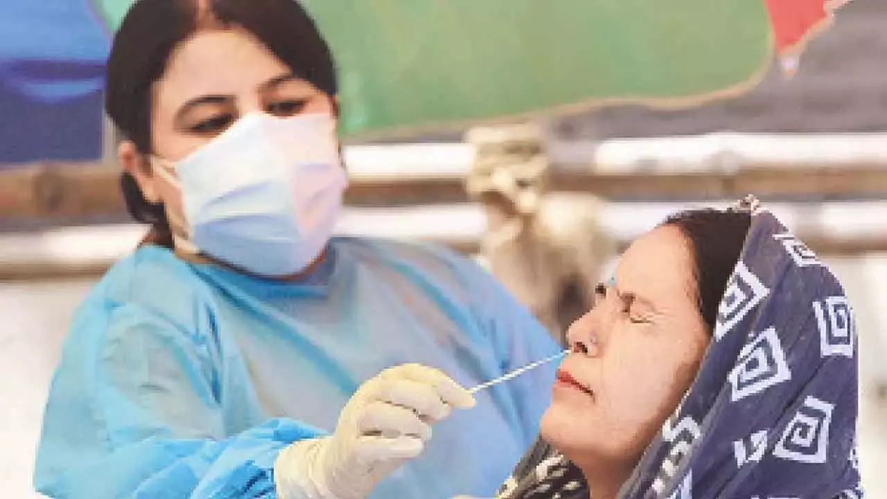 19 कोविड मरीज अस्पताल में भर्ती: सीएम रेखा गुप्ता 19 कोविड मरीज अस्पताल में भर्ती: सीएम रेखा गुप्ता