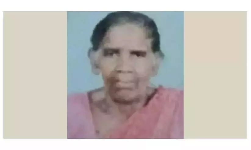 Kerala : नौकरी की तलाश कर रहे एक कर्मचारी की पेड़ गिरने से मौत Kerala : नौकरी की तलाश कर रहे एक कर्मचारी की पेड़ गिरने से मौत