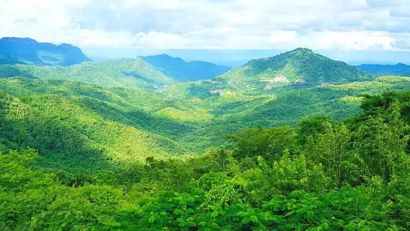 मुख्यमंत्री ग्रीन एडॉप्शन योजना बढ़ाएगी वन आवरण मुख्यमंत्री ग्रीन एडॉप्शन योजना बढ़ाएगी वन आवरण