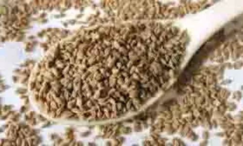Health: अजवाइन को इन 4 तरीकों से करें अपनी डाइट में शामिल, बीमारियां रहेंगी दूर