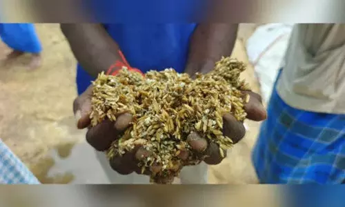 महबूबाबाद में गीले धान पर किसानों का विरोध प्रदर्शन