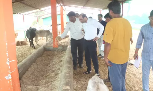 Pratapgarh: जिलाधिकारी ने वृहद गौ-आश्रय स्थल पहाड़पुर का किया औचक निरीक्षण