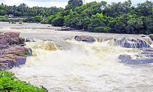 कर्नाटक बारिश: नदियों और नालों के लिए जानलेवा खतरा कर्नाटक बारिश: नदियों और नालों के लिए जानलेवा खतरा
