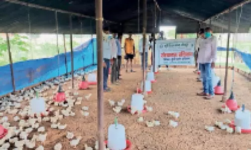 Balrampur: गांव में स्वरोजगार और आत्मनिर्भरता की नई लहर प्रारंभ Balrampur: गांव में स्वरोजगार और आत्मनिर्भरता की नई लहर प्रारंभ