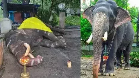 Kerala : गुरुवायुर के प्रसिद्ध टस्कर गोपीकन्नन का निधन, नौ बार जीती थी हाथी दौड़ Kerala : गुरुवायुर के प्रसिद्ध टस्कर गोपीकन्नन का निधन, नौ बार जीती थी हाथी दौड़