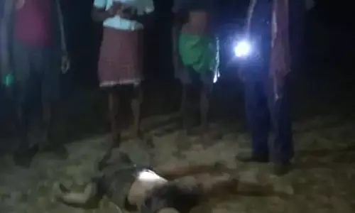 शौच करने नर्सरी में गया था युवक, हाथी ने सूंड से किया हमला