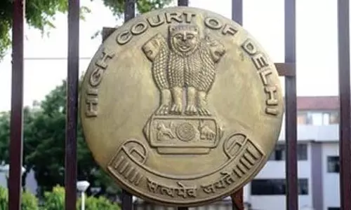 पुलिस शक्तियों पर दिल्ली हाईकोर्ट ने एलजी व आईटी मंत्रालय से मांगा जवाब