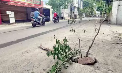 Chennai Citizen Connect: खुले मैनहोल के कारण थोरईपक्कम के यात्री परेशान Chennai Citizen Connect: खुले मैनहोल के कारण थोरईपक्कम के यात्री परेशान