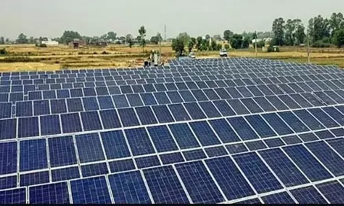 TPSODL सौर ऊर्जा से हरित बन रहा TPSODL सौर ऊर्जा से हरित बन रहा