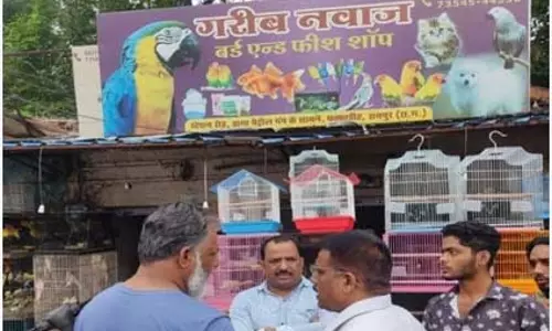 रायपुर के बर्ड्स हाउस, फिश शॉप और डॉग सेंटर में छापा, पंजीयन निरस्त की चेतावनी