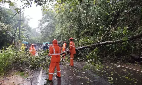 Kerala : वडकारा-पेरम्बरा मार्ग पर पेड़ गिरने से यातायात बाधित