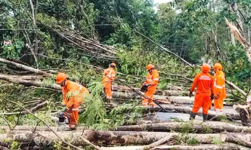 पथानामथिट्टा में भारी बारिश; व्यापक क्षति
