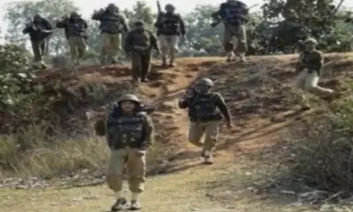 सुंदरगढ़ मामला: पुलिस ने सारंडा जंगल से चोरी किए गए 70 प्रतिशत विस्फोटक बरामद किए सुंदरगढ़ मामला: पुलिस ने सारंडा जंगल से चोरी किए गए 70 प्रतिशत विस्फोटक बरामद किए