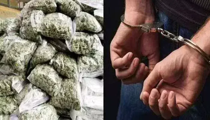 Latehar: 30 किलो गांजा के साथ तीन तस्‍कर गिरफ्तार, गया खपाने की थी तैयारी