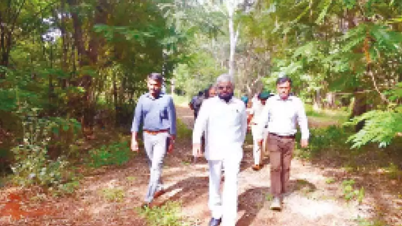 ईश्वर खंड्रे ने आईएफएस अधिकारी को निलंबित करने की सिफारिश की ईश्वर खंड्रे ने आईएफएस अधिकारी को निलंबित करने की सिफारिश की