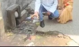 Azamgarh: पहली ही बारिश में डूबी नगर पंचायत की व्यवस्था, नालियों में भरा गंदा पानी Azamgarh: पहली ही बारिश में डूबी नगर पंचायत की व्यवस्था, नालियों में भरा गंदा पानी